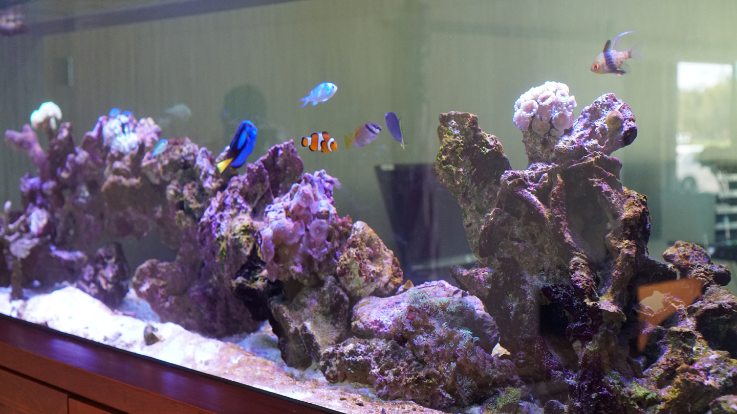 Our Little Ocean