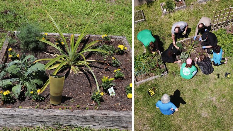 Earth Day 2021